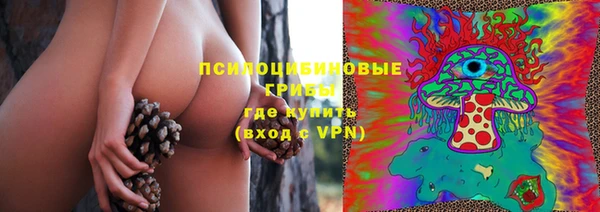 стафф Михайлов