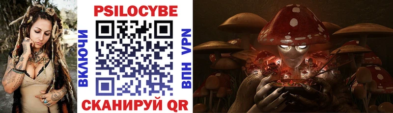 Псилоцибиновые грибы Cubensis  Чаплыгин 